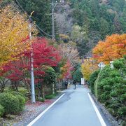 そこまで紅葉のスポットじゃないと思う