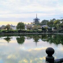 「荒池」越しに見る「興福寺五重塔」