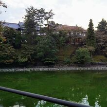 「荒池」の向こうに見える「奈良ホテル」