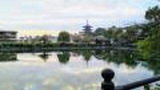 興福寺五重塔が見えるビュースポット「荒池」