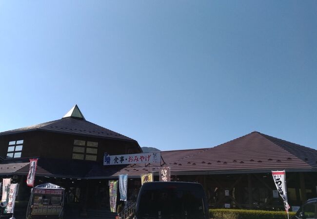 岐阜 駅 道 の