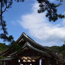 出雲大社の社殿の風景