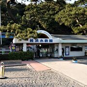 桂浜の水族館