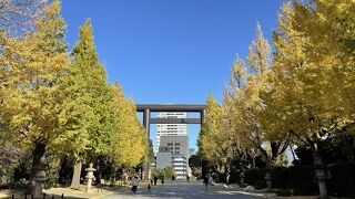 イチョウの紅葉