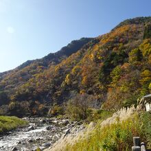 裏手には馬瀬川が流れています