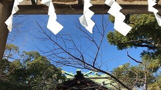 少し大きな神社といった印象