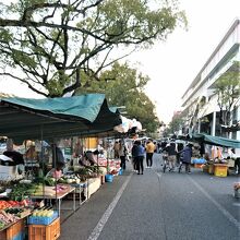 近くの道路は路上駐車OK