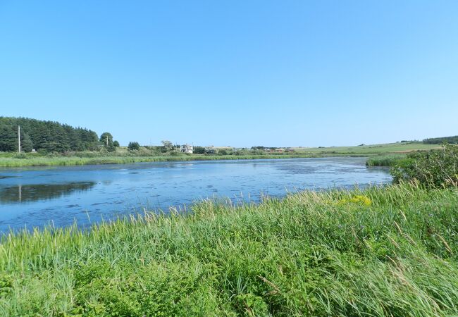 敷地の一角に「赤毛のアン」にも出てくる"輝く湖水"の湖があります