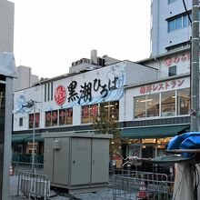 朝から土佐料理