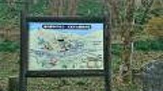 大規模な町おこし施設を併設の道の駅