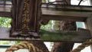 ビルとビルのあいだにあります