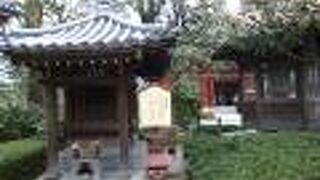 お願い事は一つに絞って