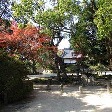 観世音寺