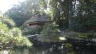 南門から入って最初の見どころ。