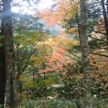 眺望は一部川沿いに出た時にあるだけで単調