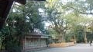 パワーを感じる