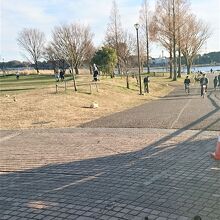 野鳥もやってきます