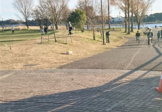 手賀沼公園 クチコミ アクセス 営業時間 我孫子 フォートラベル
