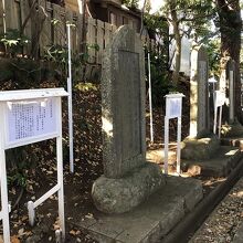 児玉神社の参道に並ぶ石碑