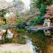 秋は日本庭園が素敵です