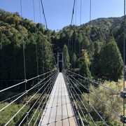 歩行者専用の橋です