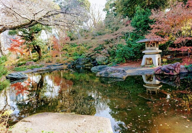 掃部山公園 クチコミ アクセス 営業時間 横浜 フォートラベル