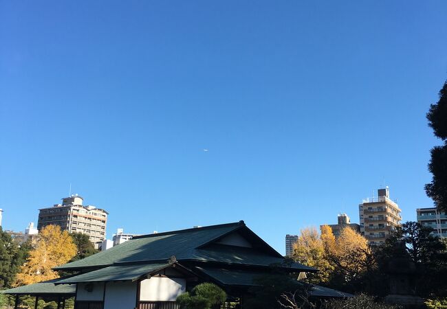 清澄庭園 涼亭 クチコミ アクセス 営業時間 木場 東陽町 清澄 フォートラベル