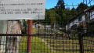 石垣と石段のみ