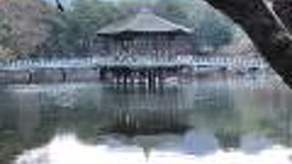 鷺池に浮かぶ浮見堂は風流