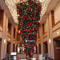 不思議なクリスマスツリーｗ