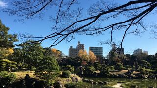 清澄庭園 クチコミ アクセス 営業時間 木場 東陽町 清澄 フォートラベル