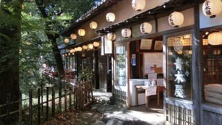 山の中みたいです。