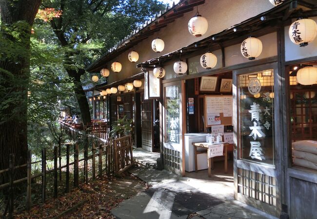 山の中みたいです。