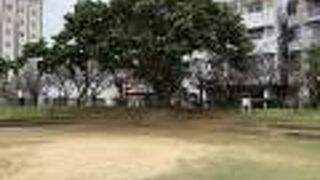 よく立ち寄ります。