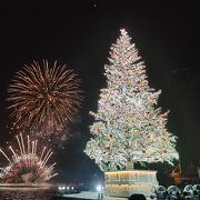 花火はツリーの正面からずれた位置で