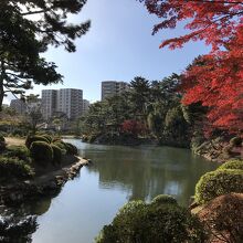 内部の様子⑤