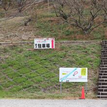 階段を上がっていきます。