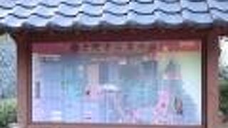 黄金館で金塊実感体験