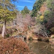 落ち着きのある日本庭園