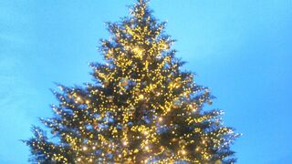 クリスマスツリー