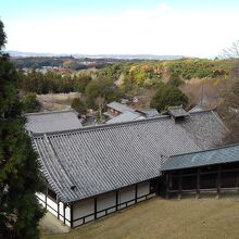 奈良の街が眼下に