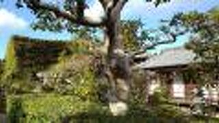 東大寺開山の良弁僧正座像を祀る