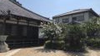 本堂前にあるヤシの木が南国風