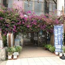 エントランスにブーゲンビリアが咲いていて沖縄らしい