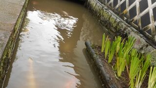 川から引き込んだ水が流れる掘割