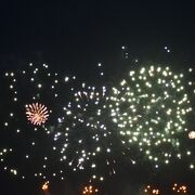 今年は名護開催でした
