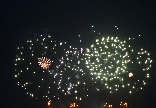 今年は名護開催でした