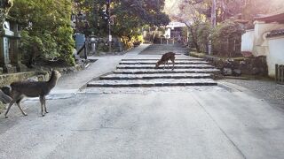 朝、すいてます☆