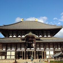 大仏もでかいが大仏殿はもっと大きい