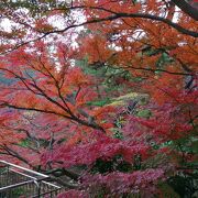 紅葉が見事でした